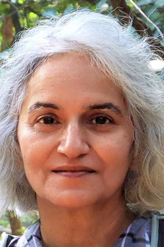 Nayanjot Lahiri's photograph