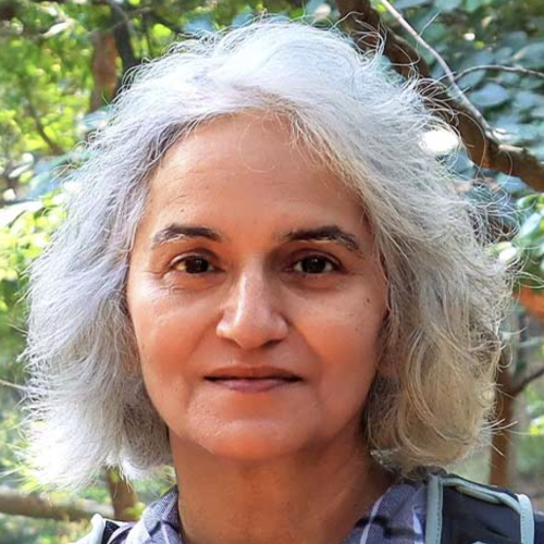 Nayanjot Lahiri's photograph